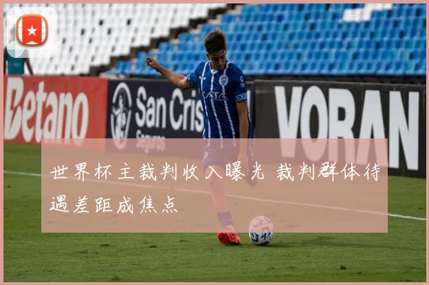 世界杯主裁判收入曝光 裁判群体待遇差距成焦点