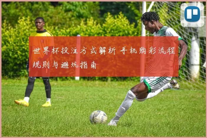 世界杯投注方式解析 手机购彩流程规则与避坑指南