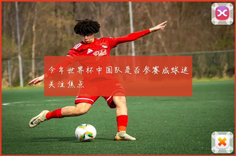 今年世界杯中国队是否参赛成球迷关注焦点