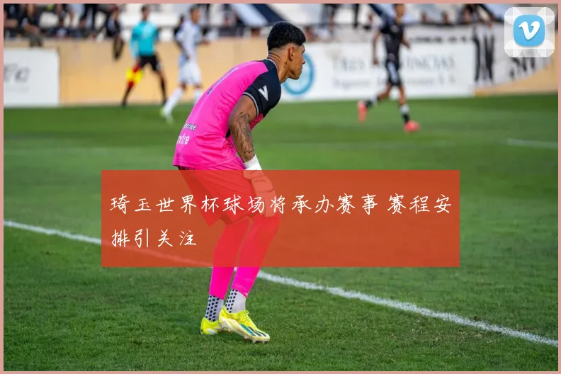 琦玉世界杯球场将承办赛事 赛程安排引关注