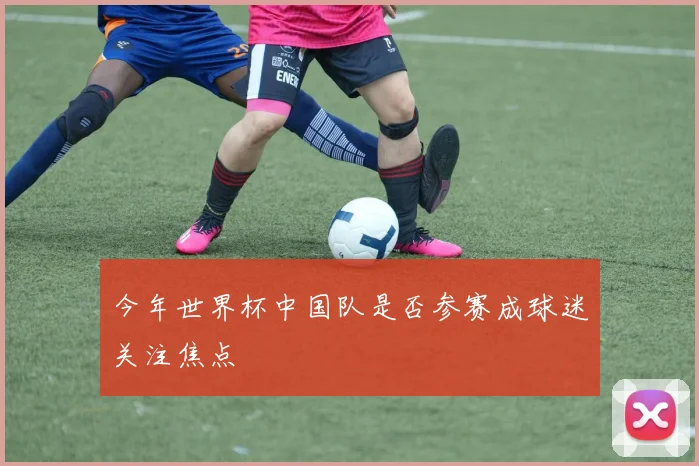 今年世界杯中国队是否参赛成球迷关注焦点